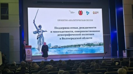 Проектно-аналитическая сессия поддержка семьи, рождаемости и многодетности